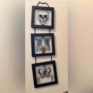 Hanging skeleton glass/wood artwork, 5x15